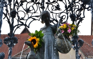 Gänselieselfest, Göttingen September 2014, Veranstaltung, Carl Tode Göttingen