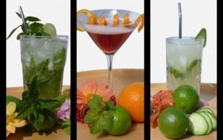 Cocktails, Rezepte, Carl Tode Göttingen, Mojito, Cosmopolitan, Moscow Mule